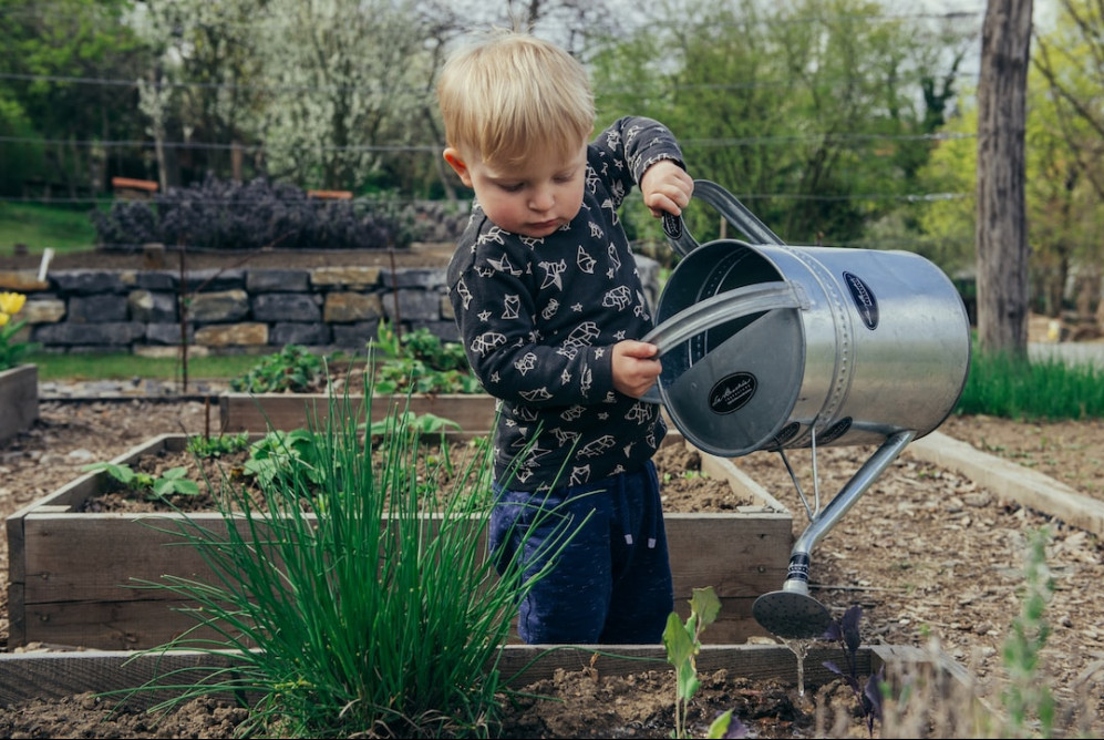 The Best Things to Grow a Garde- Little boy watering plants.