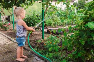 Gardening Tips That Help Beginners Be Better Part-1- Litte Girl Watering Garden