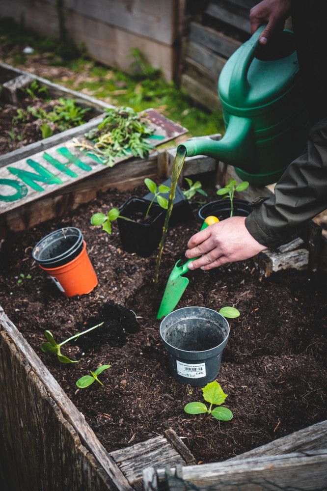 How to Protect Your Skin While Gardening - Planting Plants 