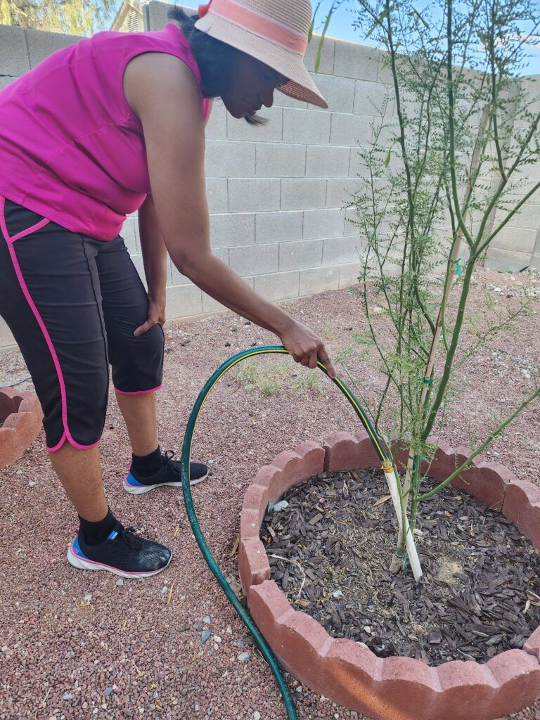 Lady Watering Roots Using PVC Tube Pipe and Water Hose